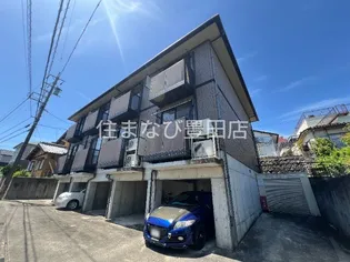 アムールサンポーの画像