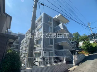 セザール豊田の画像