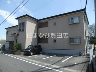 アムール神ノ木の画像