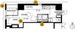 Y's GARDEN【501号室】の間取り