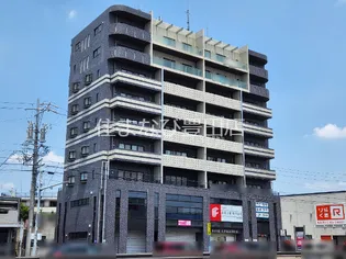 カーサエレベートⅡ【802号室】の外観