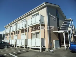 SURPLUS ONE 酒井Aの画像