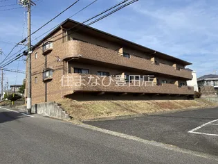 トレゾアQの画像