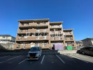 ビューラーあけぼのの画像