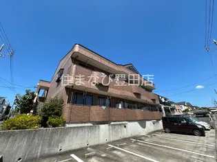 Sティファニーの画像