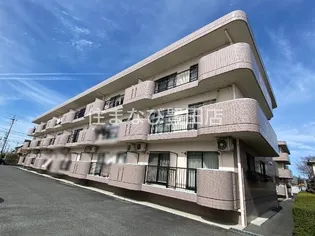 ベルドミール平戸橋1番館の画像