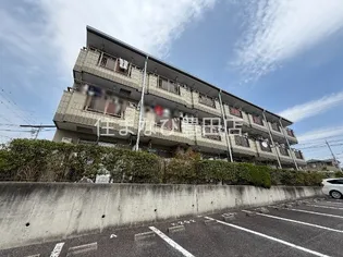 マメゾンT Sの画像