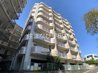 小坂プリンシアの画像