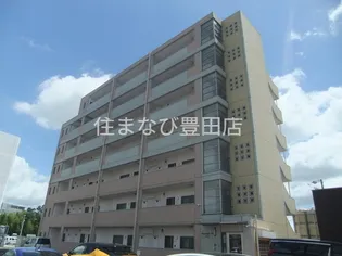 マカリイの画像