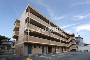 ティエリア豊田の画像