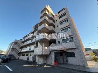 サフィニアMIの画像