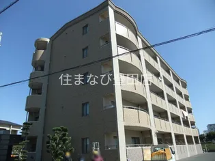 エクセレント クリアの画像