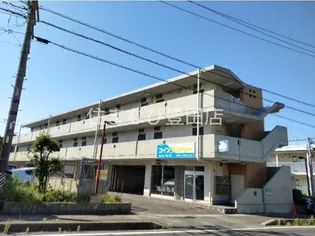 アルフエイムの画像