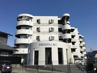 プリメーラMTの画像