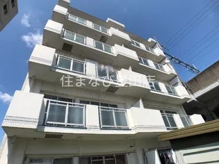 ホワイトアンジェの画像