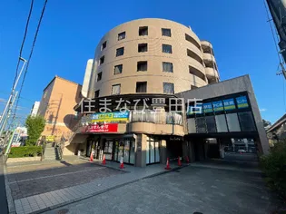 SUN CEDARの画像