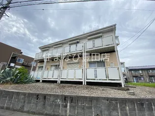 SURPLUS ONE 杉藤の画像