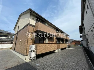 ヴィズダムの画像