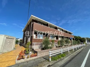 アイリスの画像