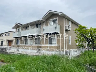 シルキーフラッツの画像