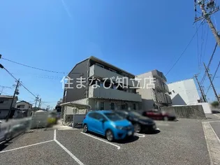 ラフィーネの画像