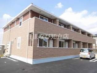 セレーノ トワの画像