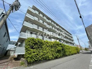 レジデンス横山【5階】の外観