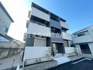 サンフラワーの画像