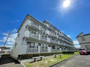 スカイビレッジ六番館の画像