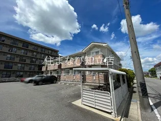 コニファーの画像