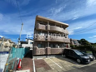 PARK SIDE PLAZA セロリの画像