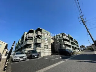 FRESCO SECONDの画像
