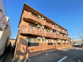 ステュディオの画像