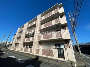 ソレアードパラシオンの画像