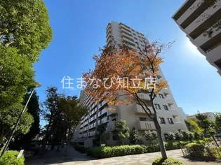 コープ野村新安城D棟の画像