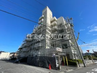 センチュリーコート緑の画像