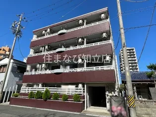 ファシルの画像