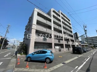 AMOUR DE FAMILLEの画像