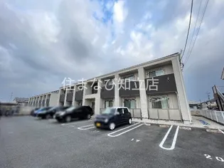 カトレアAの画像