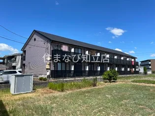 アンプルール リーブル WINGの画像