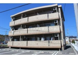 レグルスの画像