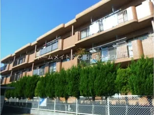 グレースリヴランの画像