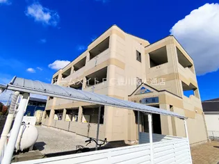 花水木 IIの画像