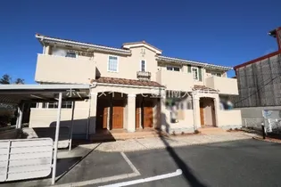 サンフラワーの画像