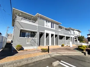 プリムローズBの画像