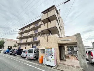 グレース喜泉の画像