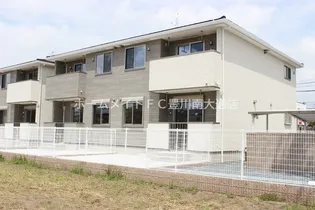 アニスシード Bの画像