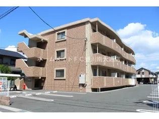 ヒラソールの画像