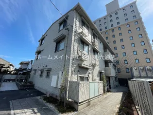 ギャレ花水木の画像