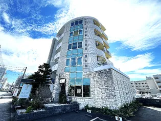 ベルディナトキワの画像